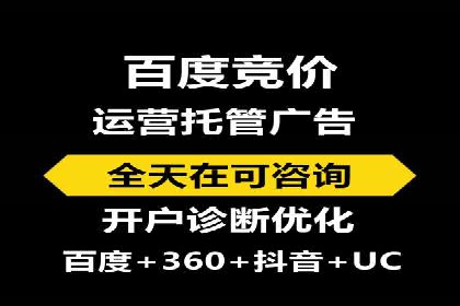 热门SEM运营公司案例深度剖析